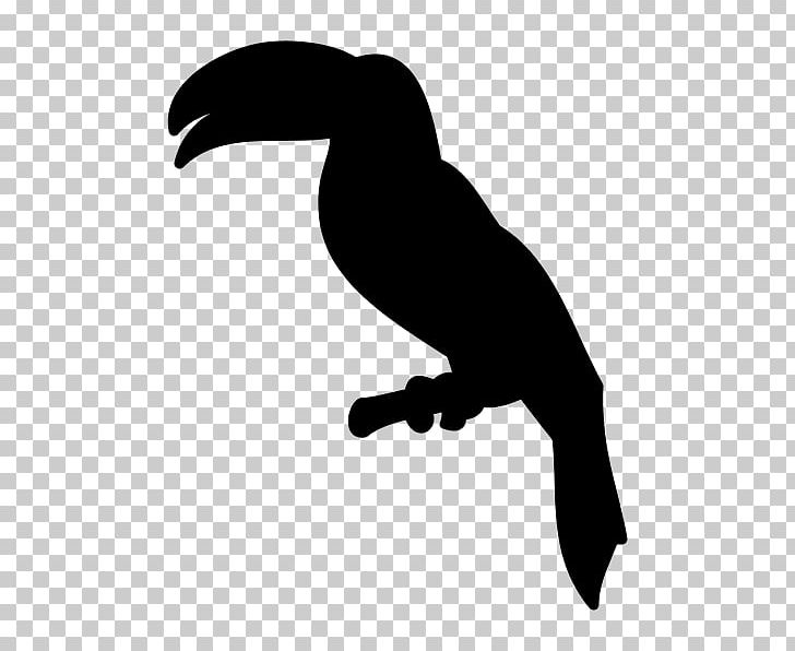 Beak Fauna Silhouette H&M PNG, Clipart, Animals, Beak, Bird, Black And White, Fauna Free PNG Download