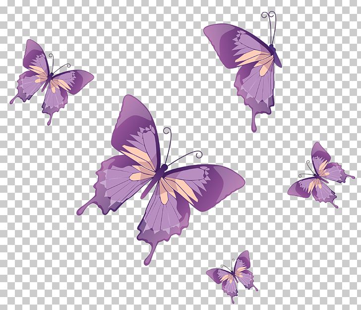 Butterfly Nymphalidae PNG, Clipart, Brush Footed Butterfly, Butterflies And Moths, Butterfly, Chrysiridia Rhipheus, Clip Art Free PNG Download