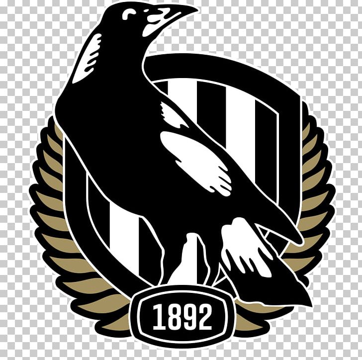 Collingwood Football Club Australian Football League AFL Women's Geelong Football Club Greater Western Sydney Giants PNG, Clipart,  Free PNG Download
