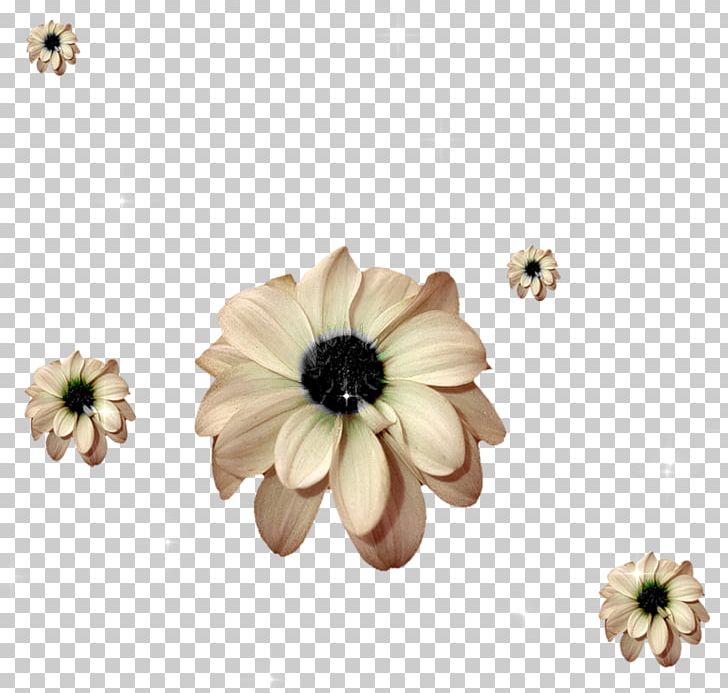 Floral Photography Patterns PNG, Clipart, Animation, Art, Background, Blog, Drawing Free PNG Download