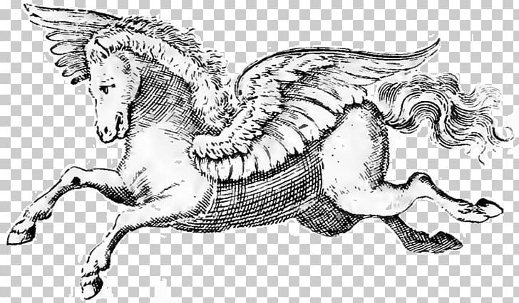 The Cabala Of Pegasus Greek Mythology Zeus Horse PNG, Clipart, Ancient Greece, Animal Figure, Animals, Art, Artwork Free PNG Download