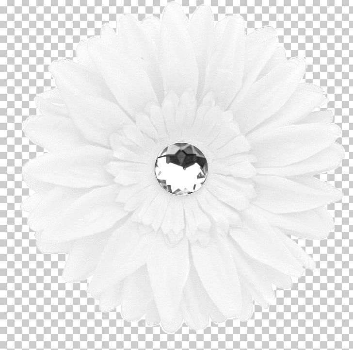 Transvaal Daisy White PNG, Clipart, Black And White, Daisy, Daisy Family, Flower, Flowering Plant Free PNG Download