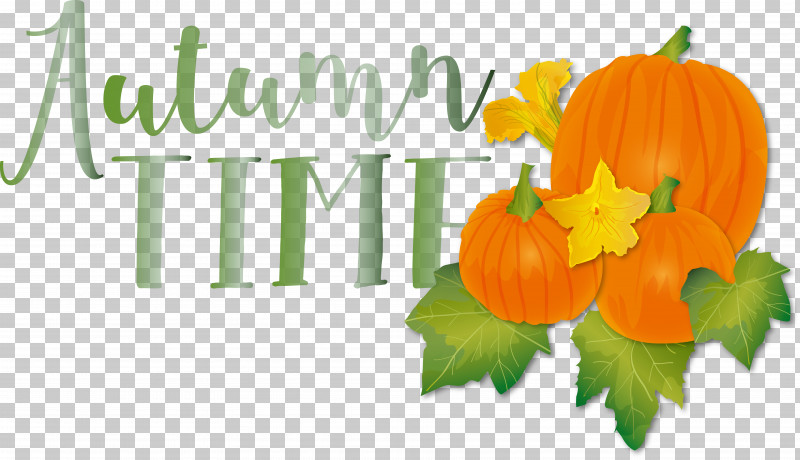 Squash Winter Squash Vegetable Gourd Flower PNG, Clipart, Flower, Fruit, Gourd, Local Food, Natural Food Free PNG Download