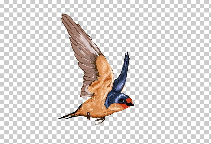 Barn Swallow PhotoScape Feather GIMP PNG, Clipart, Barn Swallow, Beak, Bird, Duck, Ducks Geese And Swans Free PNG Download