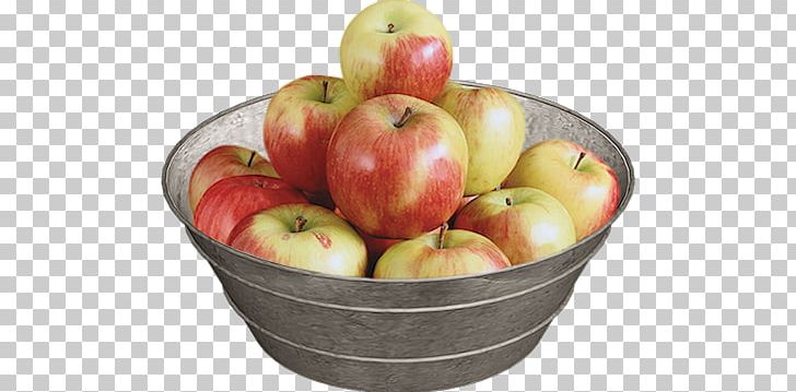 Candy Apple Apple Pie Aport Apple Fruit Salad PNG, Clipart, Accessory Fruit, Antonovka, Aport, Aport Apple, Apple Free PNG Download