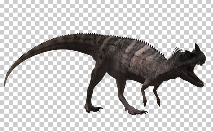 Ceratosaurus Animal Brachiosaurus Velociraptor Tyrannosaurus PNG, Clipart, 13 December, Animal, Animal Figure, Brachiosaurus, Ceratosaurus Free PNG Download