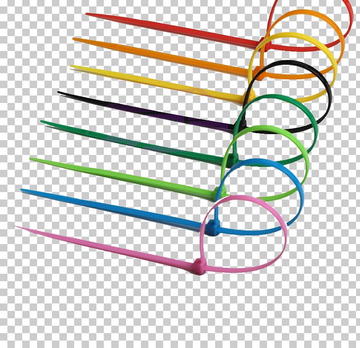 Color Seal PNG, Clipart, Angle, Animals, Circle, Colorful Background, Coloring Free PNG Download