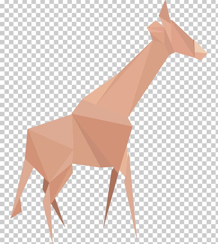 Northern Giraffe Cartoon Euclidean PNG, Clipart, Angle, Animals, Animation, Arm, Art Free PNG Download