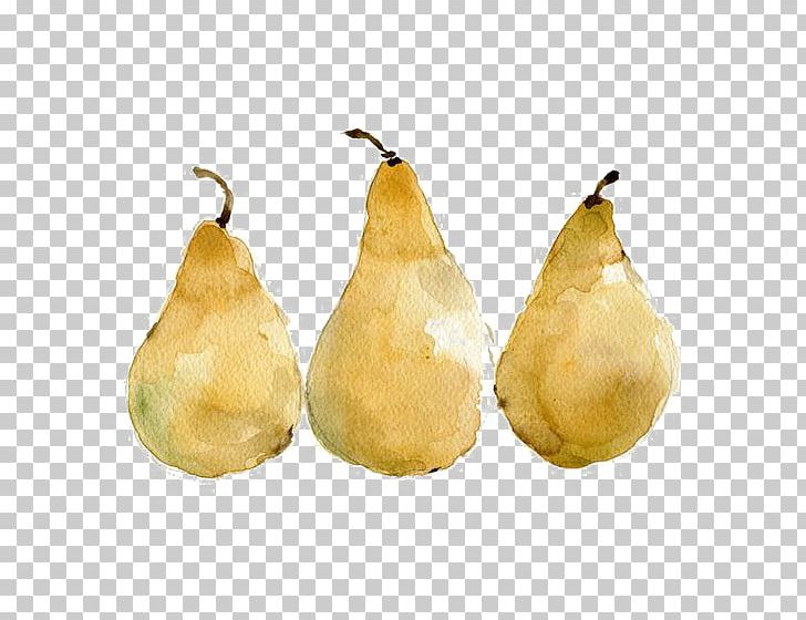 Pear Fruit Painting Food PNG, Clipart, Apple Pears, Art, Carambola, Creative, Creative Fruit Free PNG Download