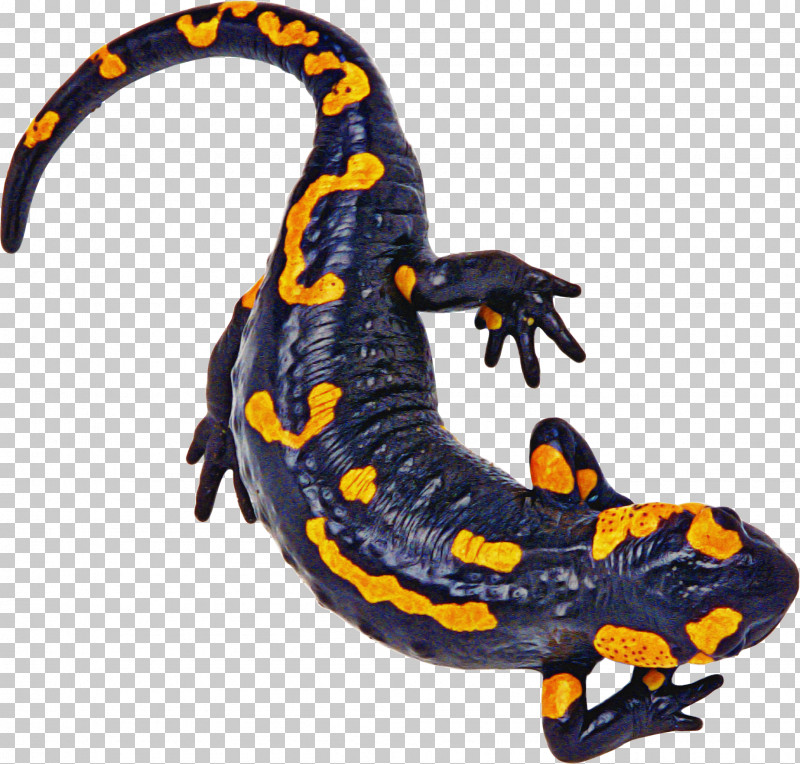 Salamandra Fire Salamander True Salamanders And Newts Salamander Spotted Salamander PNG, Clipart, Animal Figure, Fire Salamander, Newt, Salamander, Salamandra Free PNG Download