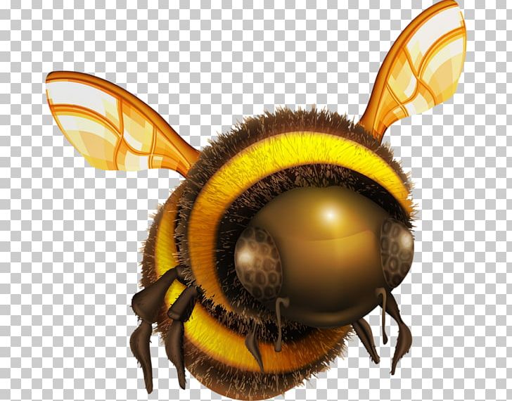 Bee PNG, Clipart, Arthropod, Bee, Computer Icons, Encapsulated Postscript, Honey Bee Free PNG Download
