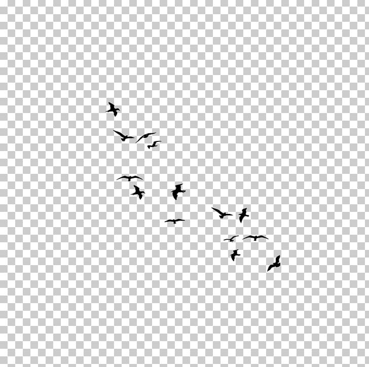 Flock Bird Migration Bird Flight PNG, Clipart, Animal Migration, Animals, Beak, Bird, Bird Feeders Free PNG Download