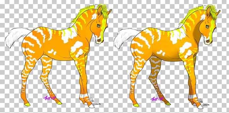 Foal Mane Stallion Mustang Colt PNG, Clipart, Colt, Common Poppy, Fauna, Fictional Character, Foal Free PNG Download