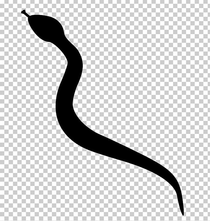 Rattlesnake Silhouette PNG, Clipart, Anaconda, Animals, Artwork, Black, Black And White Free PNG Download