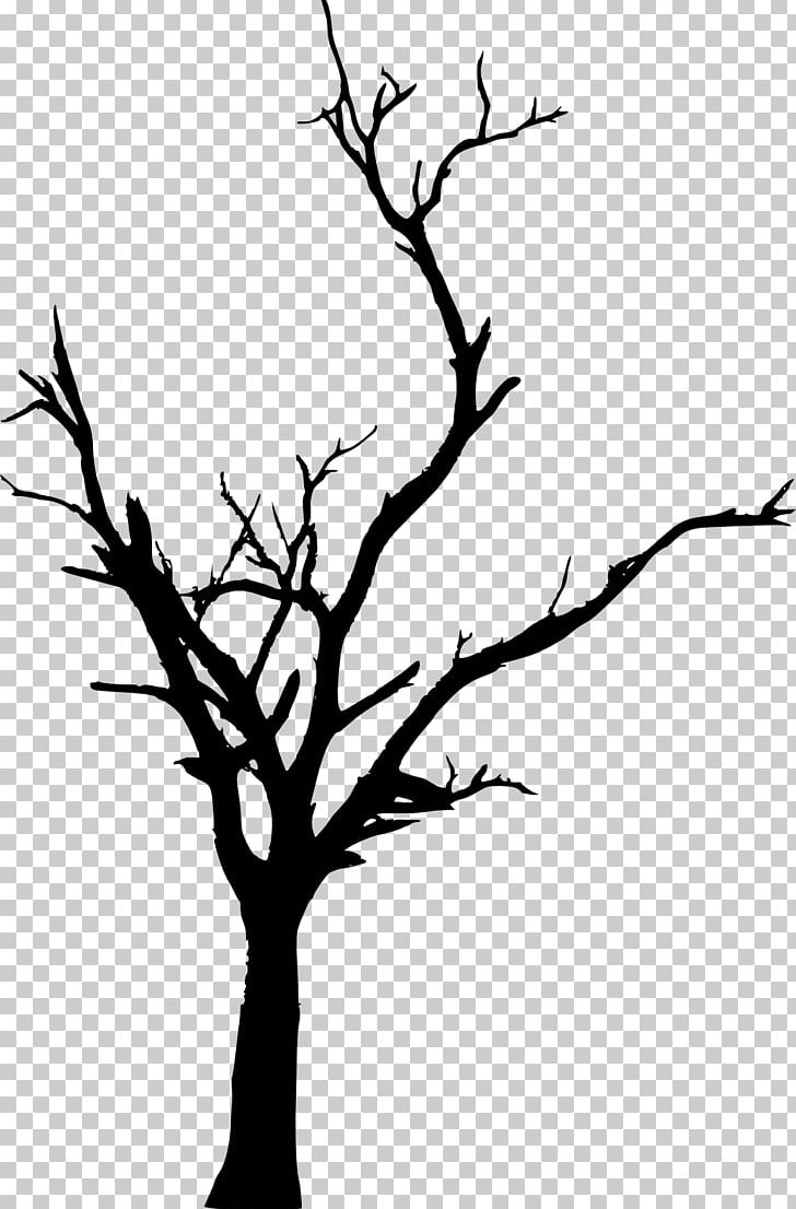 Tree Woody Plant Branch Twig PNG, Clipart, Artwork, Black And White, Branch, Clip Art, Dead Tree Free PNG Download