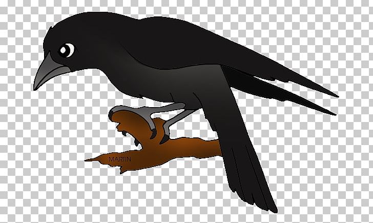 Baltimore Ravens Common Raven PNG, Clipart, Baltimore Ravens, Beak, Bird, Bird Of Prey, Blog Free PNG Download