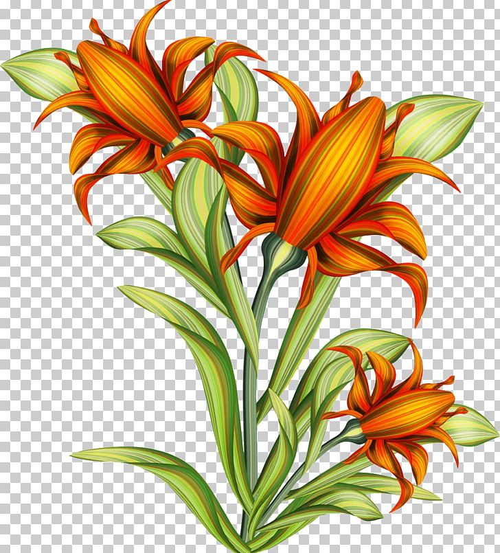 Drawing Flower PNG, Clipart, Alstroemeriaceae, Art, Artist, Artwork, Botanical Illustration Free PNG Download