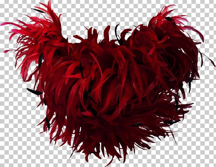 Feather Boa Bird Red PNG, Clipart, Animals, Beautiful, Beautiful Feathers, Bird, Clothing Free PNG Download