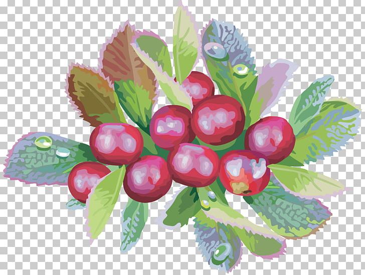 Bilberry Food Cranberry PNG, Clipart, Berry, Bilberry, Branch, Cherry, Chokeberry Free PNG Download