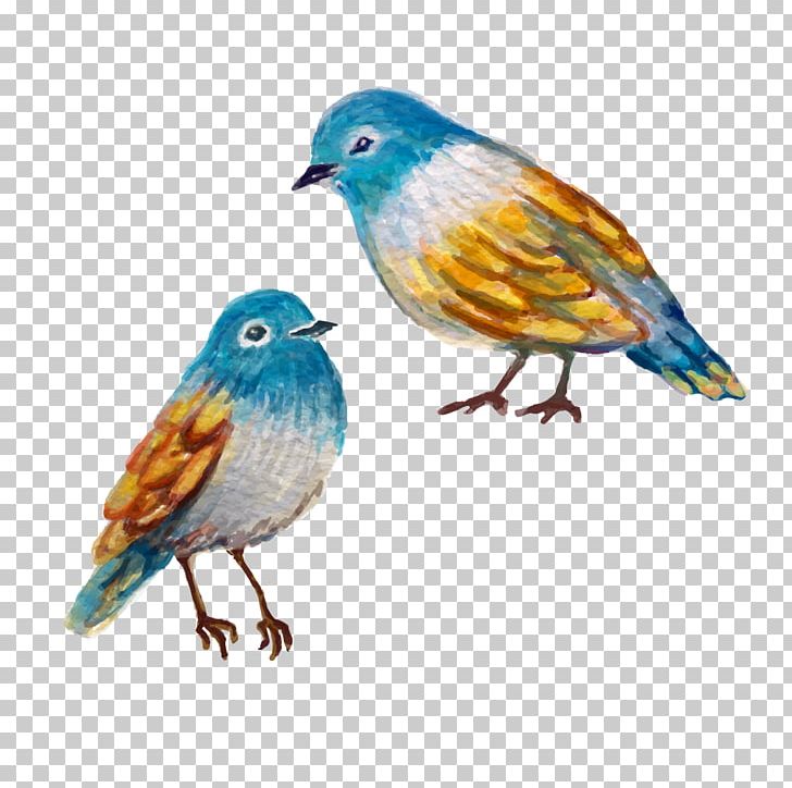 Bird Finch Watercolor Painting PNG, Clipart, Animal, Animals, Art, Beak, Bird Free PNG Download