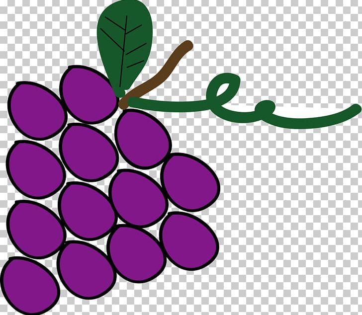 Grape Leaf Petal Line PNG, Clipart, Bunch Of Grapes, Circle, Flower, Flowering Plant, Food Free PNG Download