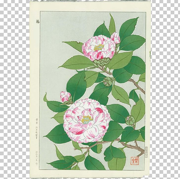Japanese Art PNG, Clipart, Artist, Botanical Illustration, Camelia, Camellia, Drawing Free PNG Download