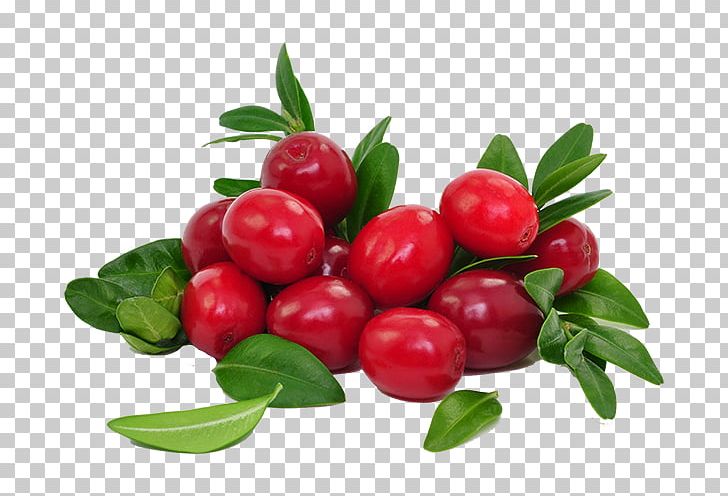 Juice Cranberry Food Dried Fruit PNG, Clipart, Acerola, Acerola Family, Berry, Bilberry, Blueberries Free PNG Download