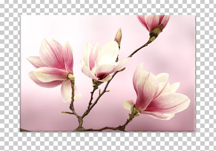 Paper Painting Flower Stock Photography PNG, Clipart, Art, Blossom, Branch, Computer Wallpaper, Decoration Free PNG Download