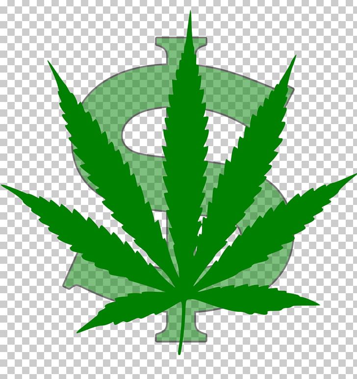 Cannabis Ruderalis Hemp Leaf PNG, Clipart, Cannabis, Cannabis Ruderalis, Cannabis Smoking, Grass, Hash Oil Free PNG Download