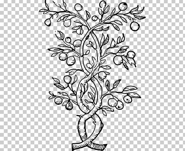 Delfim Santos PNG, Clipart, Art, Bearing Cliparts, Black, Black And White, Branch Free PNG Download