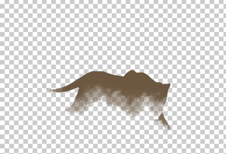 Dog Cat Snout Mammal PNG, Clipart, Animals, Black Lion Tamarin, Carnivoran, Cat, Cat Like Mammal Free PNG Download