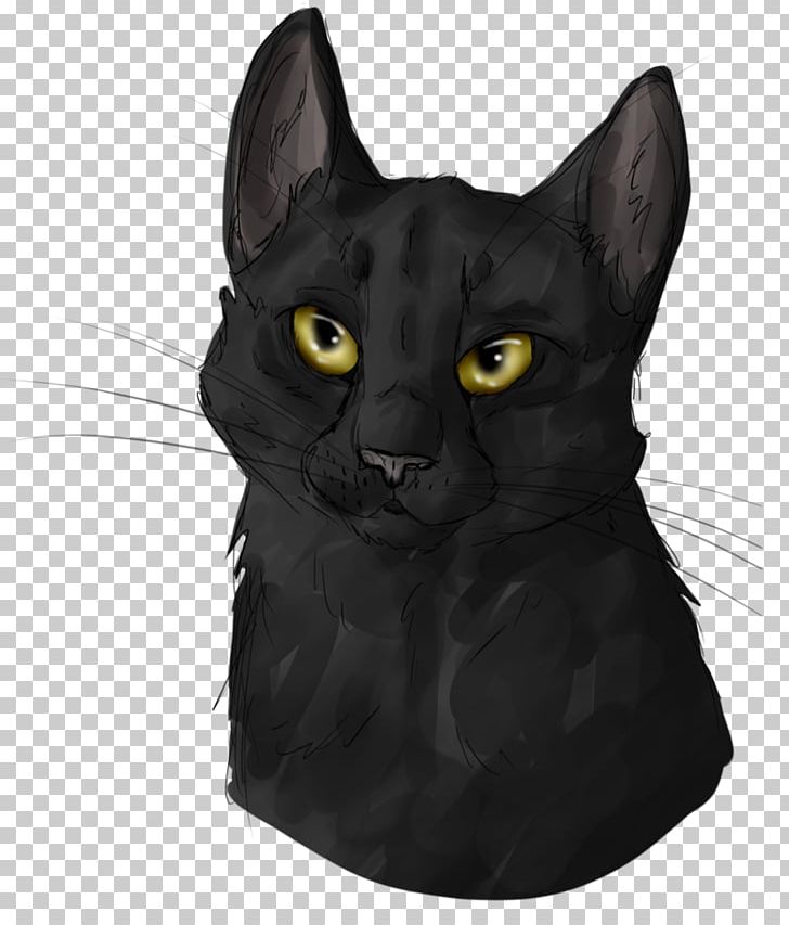 Korat Chartreux American Wirehair Havana Brown Domestic Short-haired Cat PNG, Clipart, American, Asia, Asian, Black, Black Cat Free PNG Download