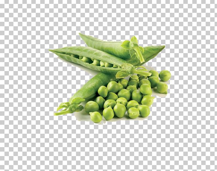 Pea Food Vegetable Legume Protein PNG, Clipart, Butterfly Pea, Butterfly Pea Flower, Cartoon Peas, Chickpea, Flour Free PNG Download