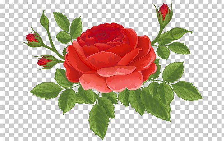 Garden Roses Centifolia Roses Floribunda Rosa Chinensis PNG, Clipart, Art, Bud, Centifolia Roses, China Rose, Clip Art Free PNG Download