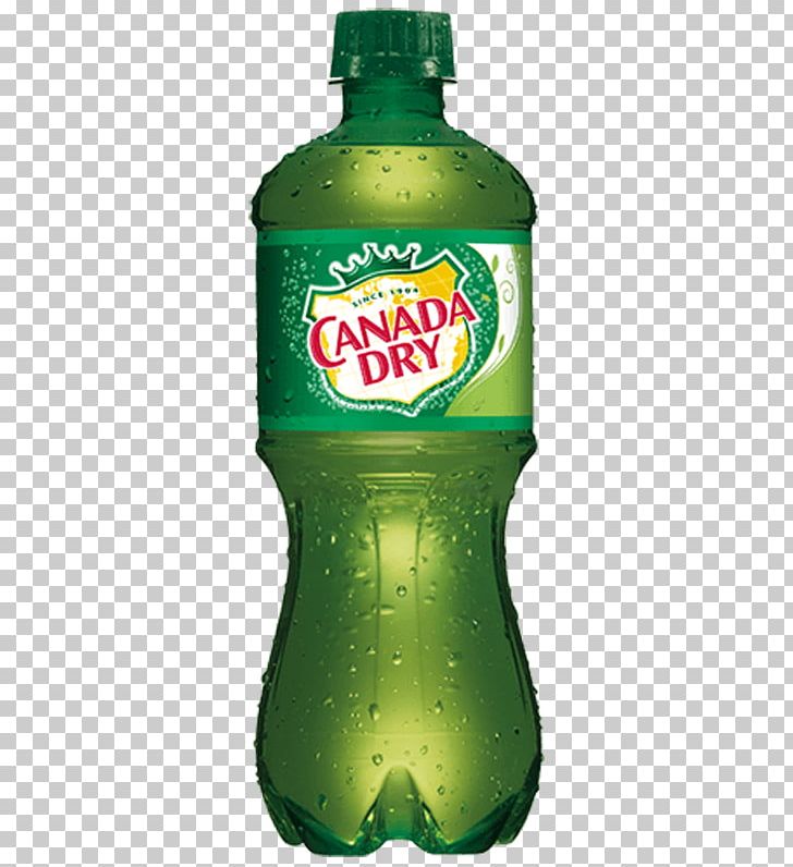 Ginger Ale Fizzy Drinks Lemonade Coca-Cola Ale-8-One PNG, Clipart, Ale8one, Bottle, Canada Dry, Carbonated Water, Cocacola Free PNG Download