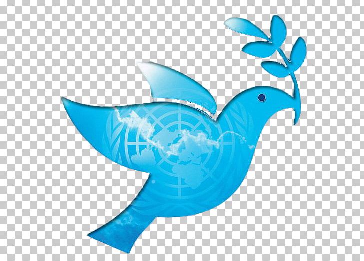 International Day Of Peace (United Nations) World Peace PNG, Clipart, International, Marine Biology, Marine Mammal, Nonviolence, Organism Free PNG Download