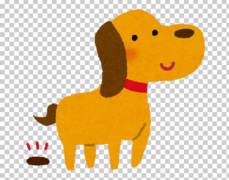 Poodle Akita Shiba Inu Puppy Dog Food PNG, Clipart, Akita, Animals, Anjing Jepun, Carnivoran, Coprophagia Free PNG Download