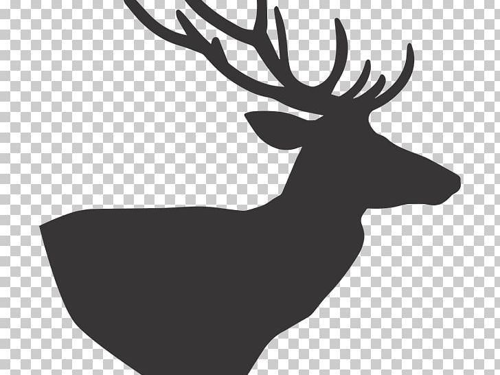 Reindeer Photography Hunting Sika Deer PNG, Clipart, Antler, Asado, Black And White, Cartoon, Deer Free PNG Download