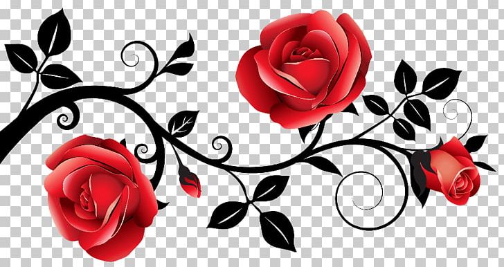 red rose borders and frames