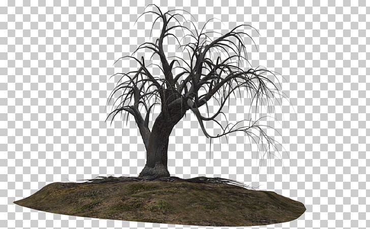 Tree Woody Plant PNG, Clipart, Black And White, Bonsai, Branch, Clip Art, Creepy Free PNG Download