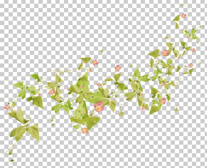 Watercolor Painting Flower PNG, Clipart, Albom, Branch, Decorative, Download, Flora Free PNG Download