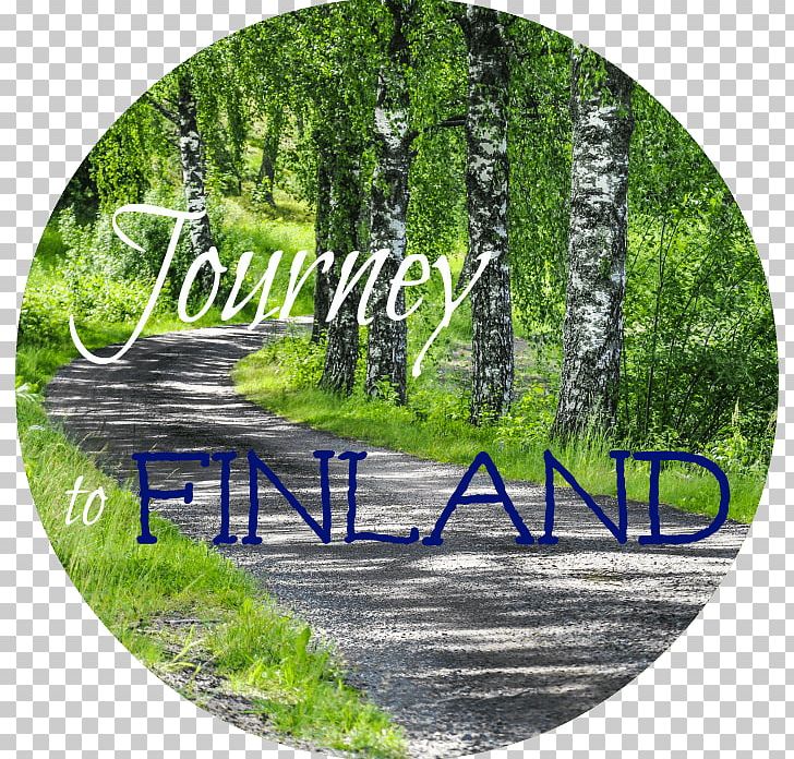 Finland Finnish Sauna Finns Abaya PNG, Clipart, Abaya, Arabian Peninsula, Birch, Country, Finland Free PNG Download