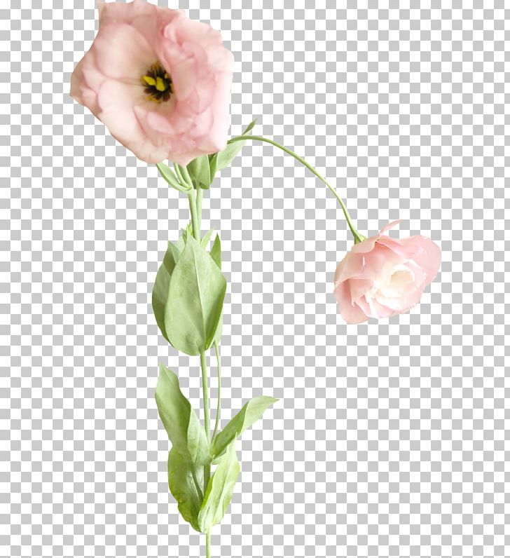 Floral Design Painting Baku Flower Festival PNG, Clipart, Art, Artificial Flower, Baku Flower Festival, Bud, Chinese Painting Free PNG Download