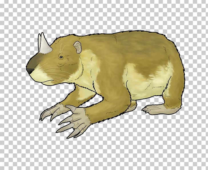 Horned Gopher Macropodidae Bear Animal Hamster PNG, Clipart, Animal, Animals, Animal Shelter, Archosaur, Bear Free PNG Download