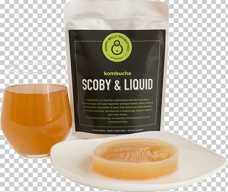 Kombucha SCOBY Kefir Probiotic Symbiosis PNG, Clipart, Bacteria, Belly, Drink, Fermentation, Fermentation In Food Processing Free PNG Download