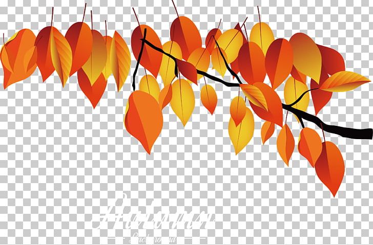 Maple Leaf PNG, Clipart, Autumn, Autumn Leaves, Autumn Vector, Branch, Dead Branches Free PNG Download