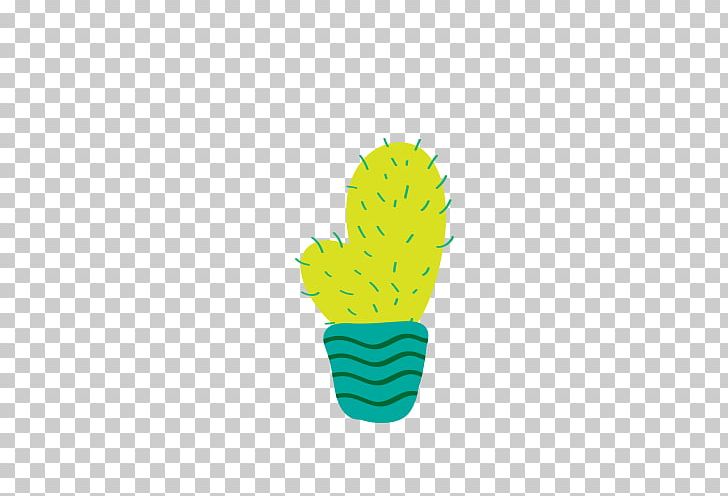 Echinopsis Oxygona Cactaceae Bonsai PNG, Clipart, Cactus, Cactus Cartoon, Cactus Flower, Cactus Vector, Cactus Watercolor Free PNG Download