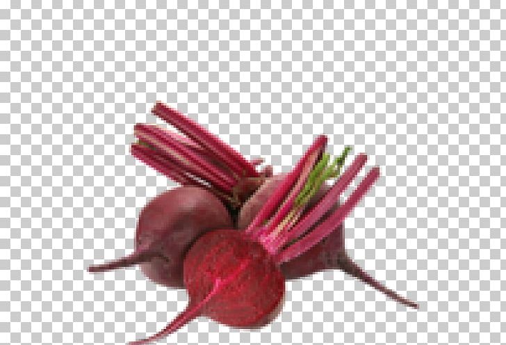 Vegetarian Cuisine Beetroot Indian Cuisine Juice Vegetable PNG, Clipart, Beet, Beetroot, Chard, Common Beet, Flower Free PNG Download