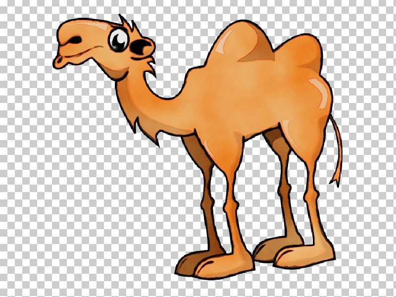 Bactrian Camel Cartoon Drawing Humour Silhouette PNG, Clipart, Bactrian Camel, Camels, Cartoon, Drawing, Humour Free PNG Download