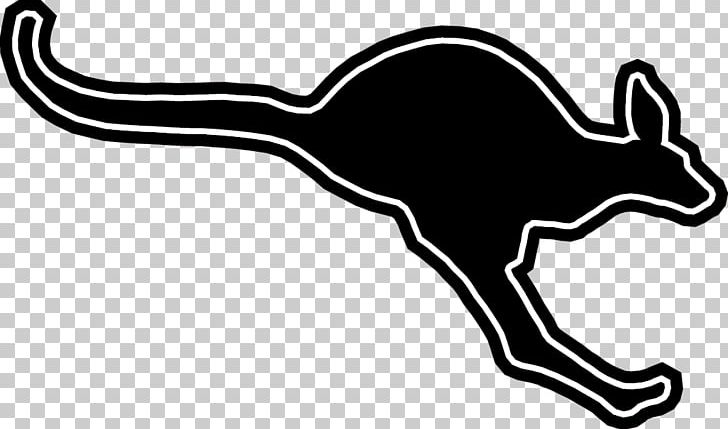 Austin College Kangaroos Football Austin College Kangaroos Men's Basketball Logo PNG, Clipart,  Free PNG Download